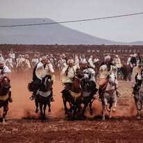 🐎 وعدة سيدي بن عدة – ولاية عين تموشنت