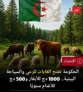 قرارات جديدة تخص الغابات والرعي في الجزائر 🇩🇿