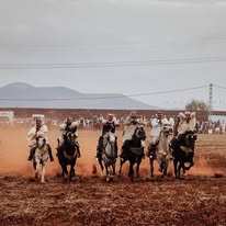 📢 إعلان وعدة بلدية شعبة اللحم (شباط) بولاية عين تموشنت