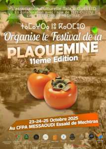 Annonce Officielle – 11ᵉ édition de la Fête de la Plaquemine de Mechtras 🍊