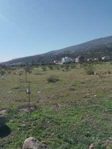 Proposition de vente de terrain – Azaghar Nord (Akbou)