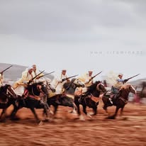 📢 الوعدة في بلدية سفيـسف – ولاية سيدي بلعباس