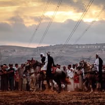 برنامج الوعايد لهذا الأسبوع