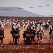 🐎 وعدة سيدي بن عدة – ولاية عين تموشنت