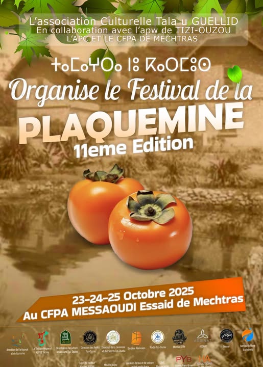Annonce Officielle – 11ᵉ édition de la Fête de la Plaquemine de Mechtras 🍊