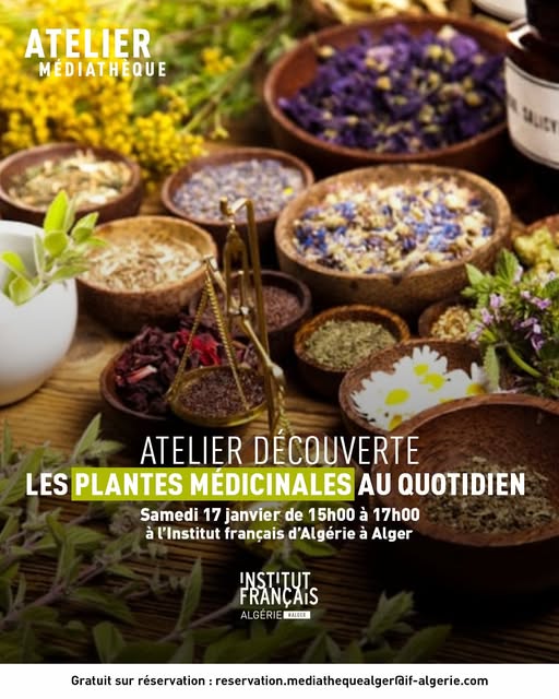 Atelier découverte. Les plantes médicinales au quotidien !