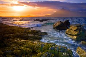 recherche maman biologique