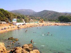 des lots térrain vu sur mer tafsout