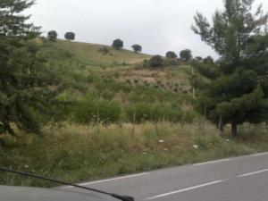 vente terrain Agricole