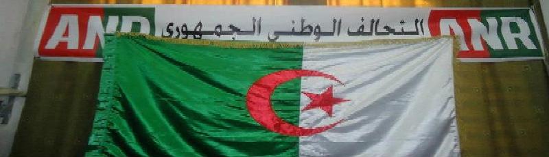 الترشح في الانتخابات البلدية