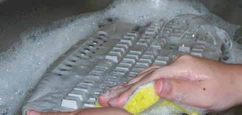 اعلانات الزواج