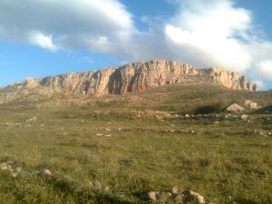 cherche un partenaire