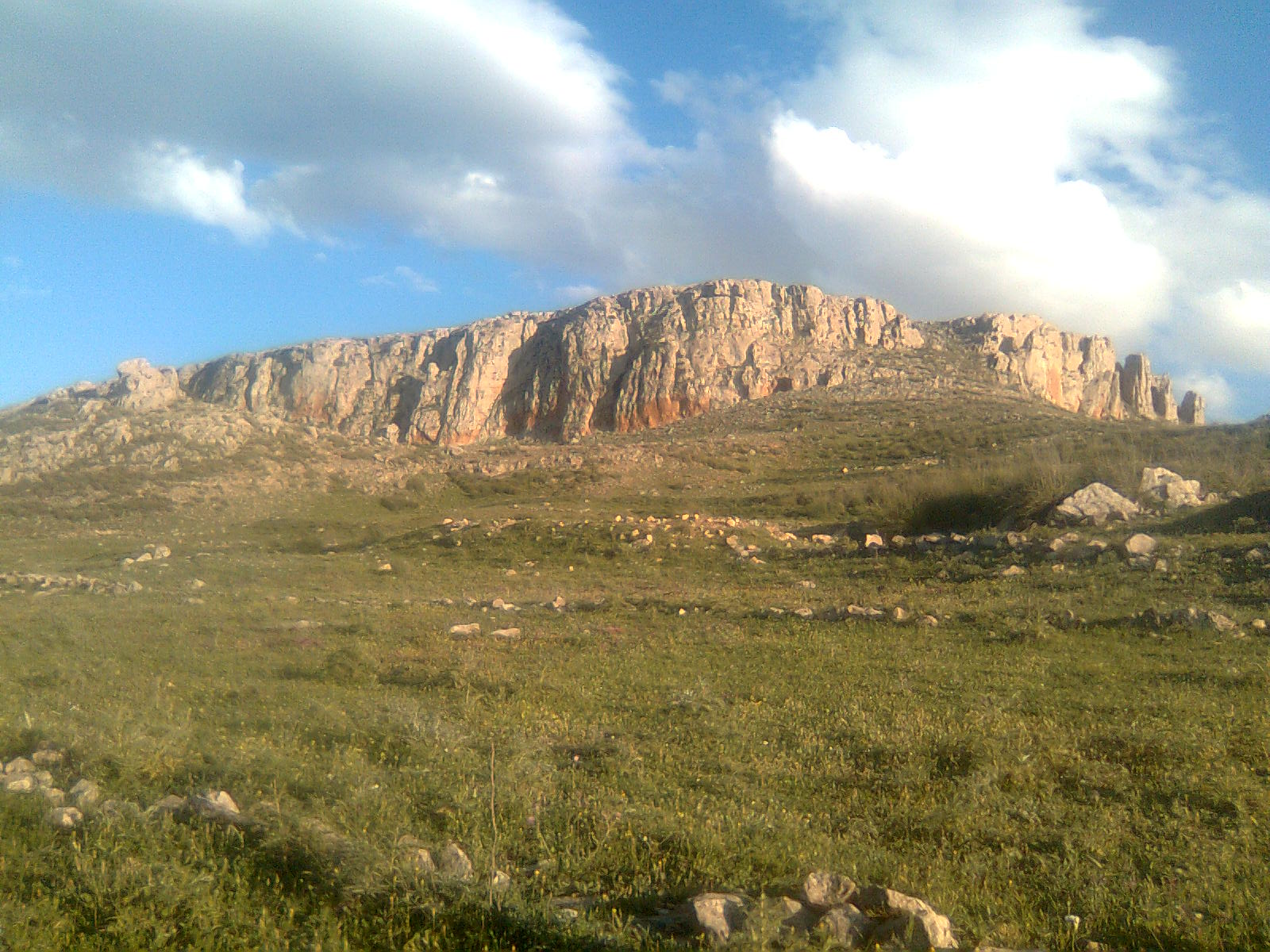 cherche un partenaire