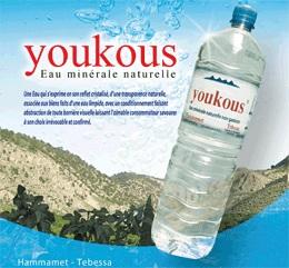 La SARL BAALOUDJ et FILS production des eaux minérales « youkous » cherche dans le cadre de son extension dans le domaine de la production des eaux minérales et boissons gazeuses