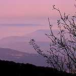 En attendant le retour de ses rudes montagnards,L’Ouarsenis reprend espoir.