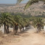 Présentation de Oulhaça