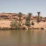 Les Oasis de Moghrar et Tiout