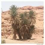 NAAMA,Promouvoir l’activité touristique