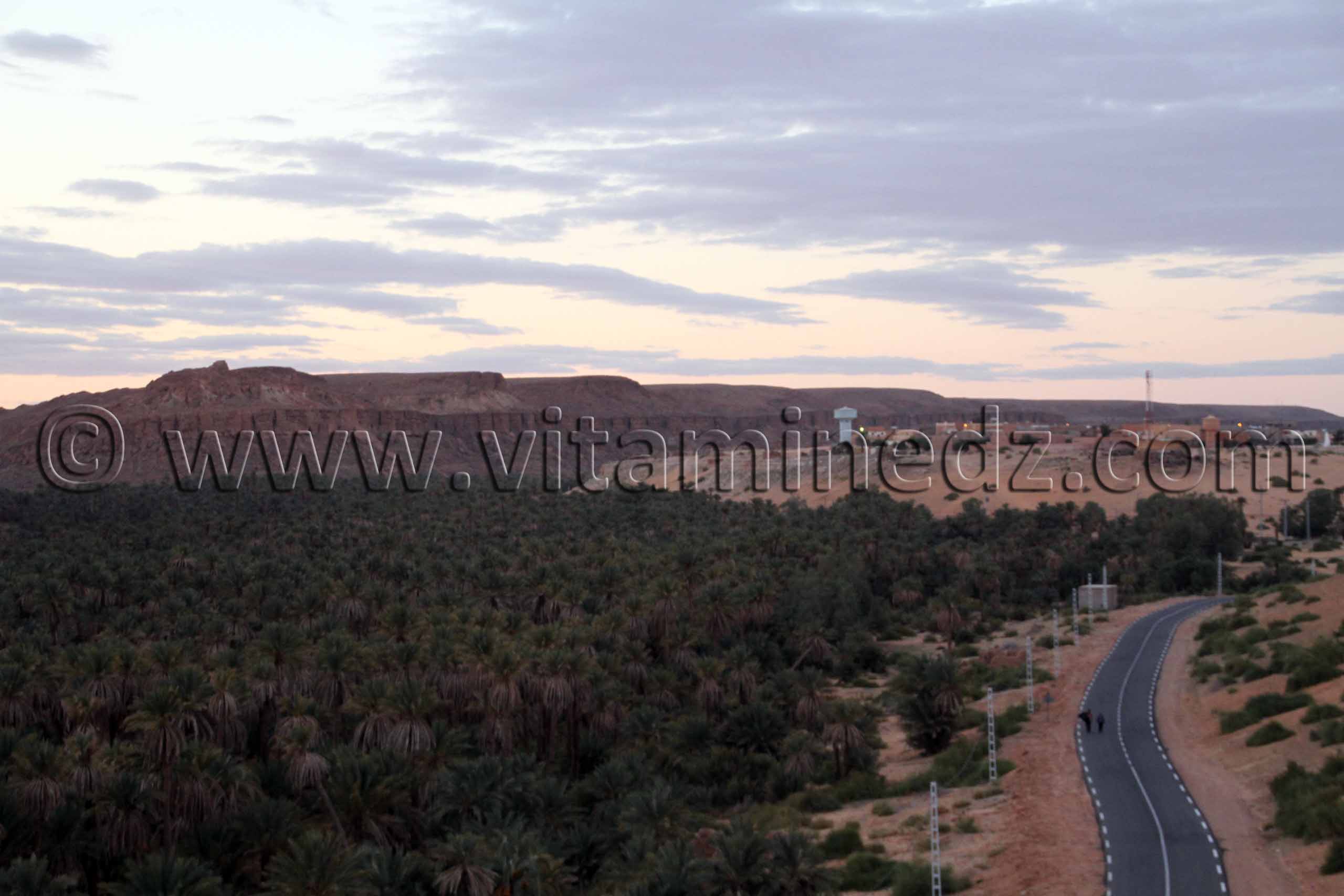 BECHAR : La palmeraie de Taghit en danger