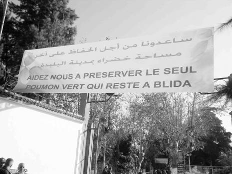 Le club hippique menacé par le béton                                Fondé en 1885 à Blida