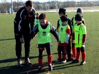 Sport d'élite : nécessité d'une stratégie de formation pour atteindre un meilleur niveau