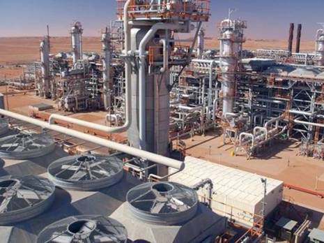 Une part importante dans les exportations de gaz naturel                                Gisement d'In Amenas