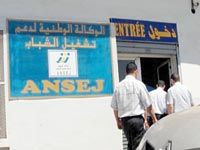 ANSEJ Tamanrasset                                Plus 500 nouveaux emplois créés en 2012
