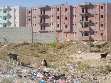 Genèse d'une ville délaissée                                Cadre de vie à Khenchela