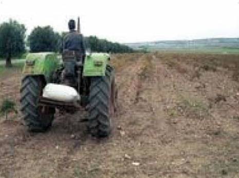 Plaidoyer pour une voie d'accès à Ouled Taffer                                Les riverains du barrage de Kissir à Jijel se plaignent