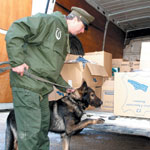 توقيف 120 شخصا بالبويرة تورطوا في قضايا مخدرات والهجرة غير الشرعية