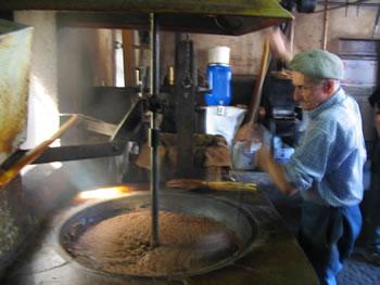 Cent mille quintaux d'olives attendus BORDJ BOU ARRERIDJ