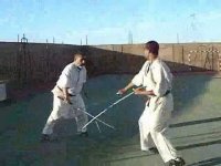 Engouement pour le sport du 