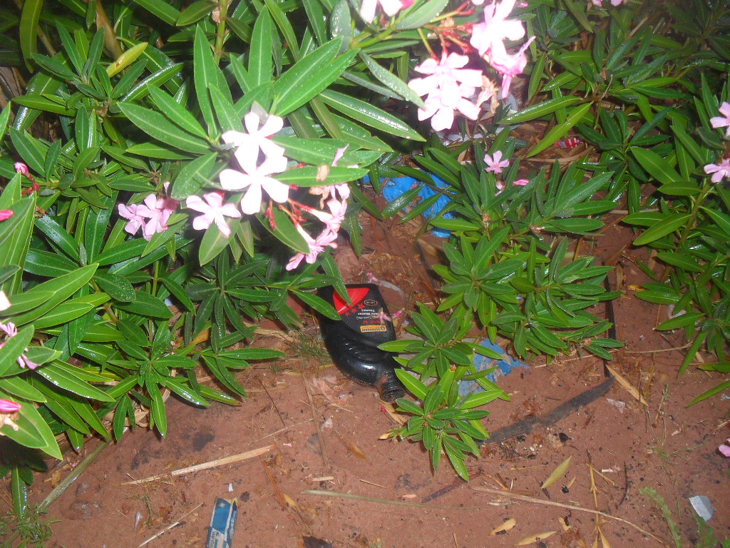 pollution du barrage Tiout