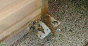 سرقة ثلاث محلات تجارية في ليلة واحدة ببلدية عين الطلبة بعين تموشنت