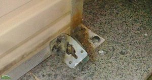 سرقة ثلاث محلات تجارية في ليلة واحدة ببلدية عين الطلبة بعين تموشنت