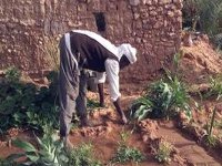 Développement au sud-est du pays : décideurs et acteurs locaux se concertent à Ghardaïa