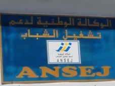 32 مشروع صناعي يموله جهاز  أونساج   في عين تموشنت