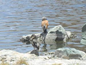 اليوم العالمي للمناطق الرطبة2فبراير2013