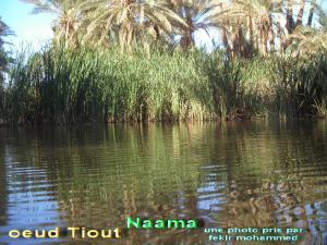 LES ZONES HUMIDES EN ALGERIE