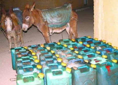 حجز 30680 لترا من الوقود موجه للتهريب خلال 2012 بالطارف