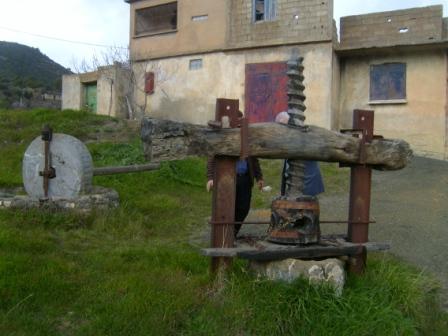 Extraction d'huile d'olives, entre hier et aujourd'hui