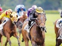 Le plein aux stalles Les courses à M'Sila