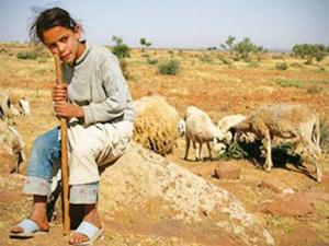 Un phénomène inquiétant Ces enfants qui travaillent à Tébessa