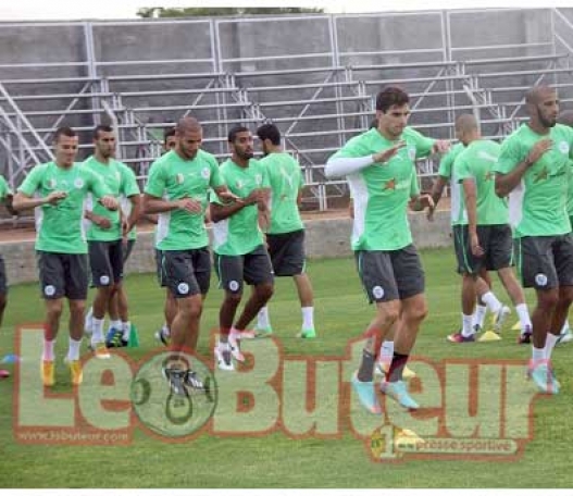 Algérie-Côte d'Ivoire, ce soir à 18h00 : Une victoire pour sauver l'honneur