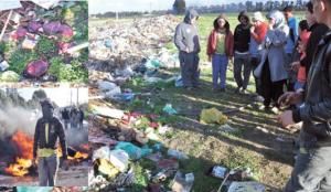 Algérie, 26 phoetus et des tas d'entrailles humains dans une décharge