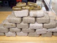 الطارف/ اكتشاف 35 كلغ من الكيف المعالج على شاطئ العوينات