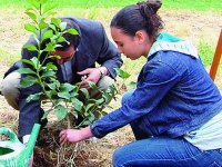 L'algérie va reboiser 1,25 million d'hectares d'ici à 2020 Journée mondiale des zones humides