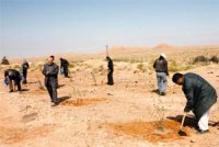 Vaste campagne de reboisement Constantine