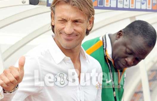 Renard, solidaire d'Halilhodzic