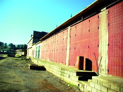 Dix-huit marchés de proximité pour résorber le commerce informel Constantine